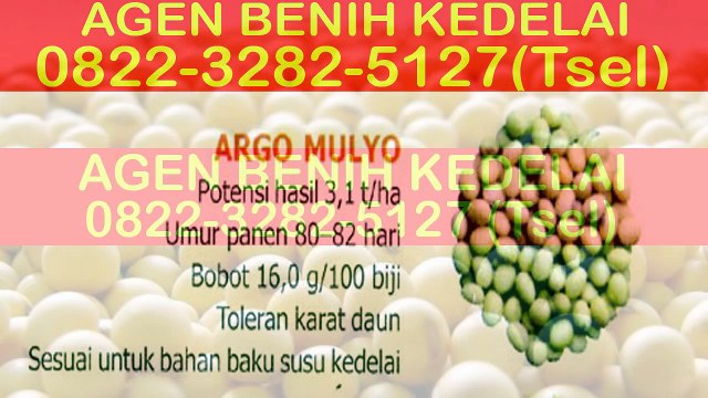 0822-3282-5127 (Tsel) Benih Kedelai Varietas Unggul
