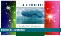 Buy  True North: A Captivating 85-Day Solo Journey To All of South America   Easter Island   The