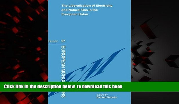 Best book The Liberalization of Electricity and Natural Gas in the EUropean Union (European