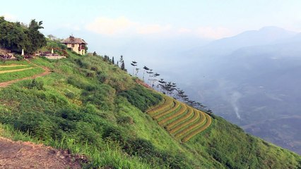 Sorge um Vietnams "tonkinesische Alpen"