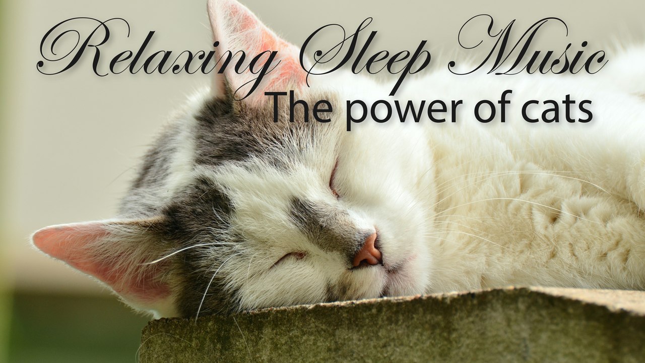 Cats Sleep Power - Relaxing Music, Sleep Music, Dream Music | Relax & Enjoy
