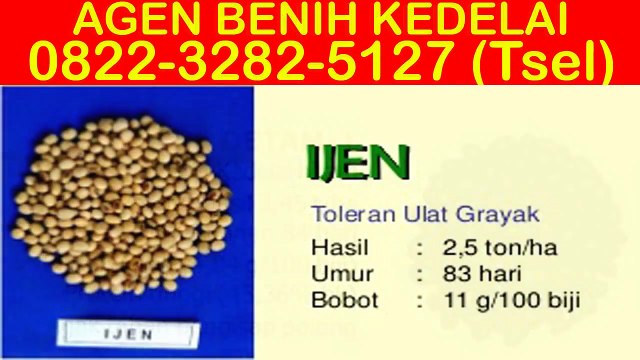 0822-3282-5127 (Tsel), Beli Bibit Kedelai Unggul