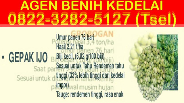 0822-3282-5127 (Tsel), Jual Bibit Kedelai Edamame