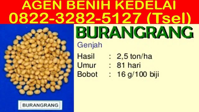 0822-3282-5127 (Tsel), Benih Kedelai Unggul