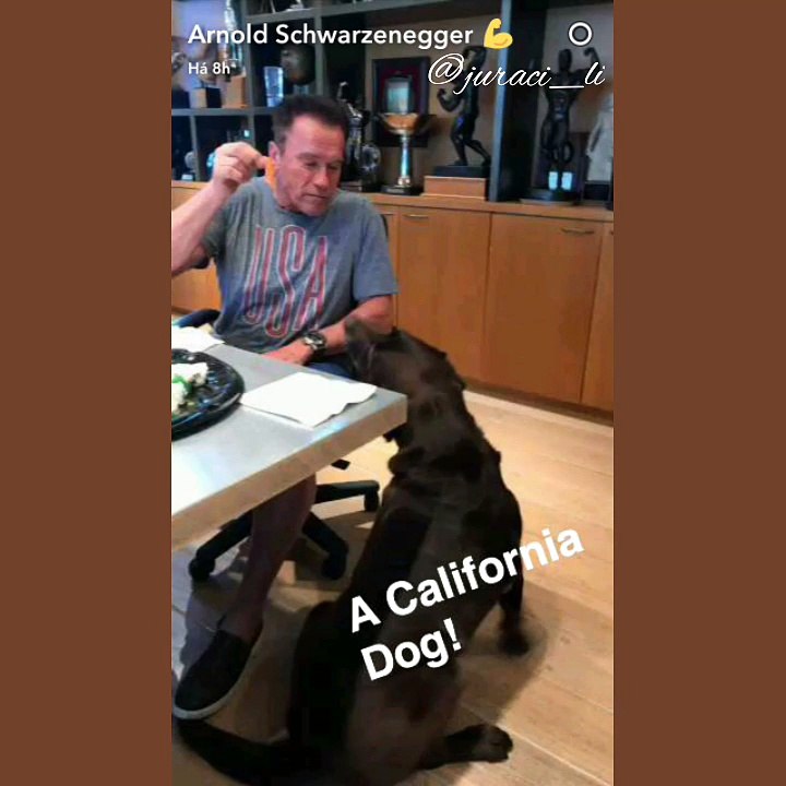 Arnold: A California dog 