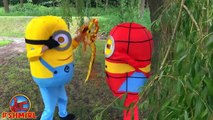 Finding Dory Kidnapped by Minions vs Spiderman - Finding Dory vs Minions - Superheroes in Real Life