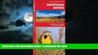 liberty book  Montana Birds: A Folding Pocket Guide to Familiar Species (Pocket Naturalist Guide