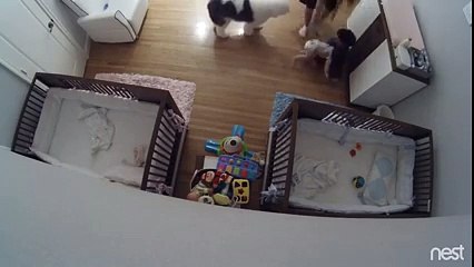 Un enfant de 9 ans rattrape de justesse un bébé