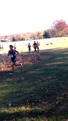 Un chevreuil vient percuter violemment un coureur de cross-country