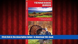 liberty books  Tennessee Birds: A Folding Pocket Guide to Familiar Species (Pocket Naturalist