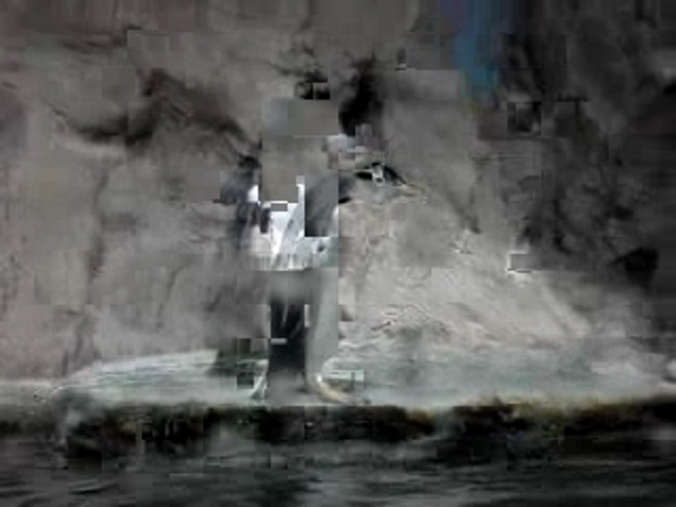 tuffo pinguino