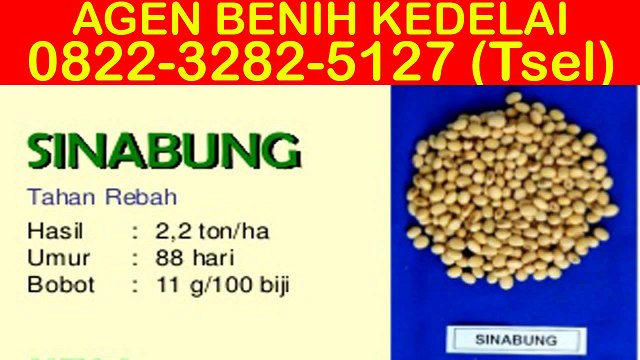 0822-3282-5127 (Tsel) Toko Bibit Kedelai