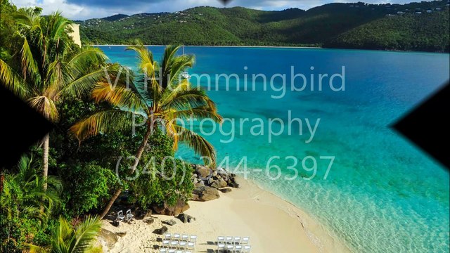 VI Hummingbird Photography-(340) 344-6397