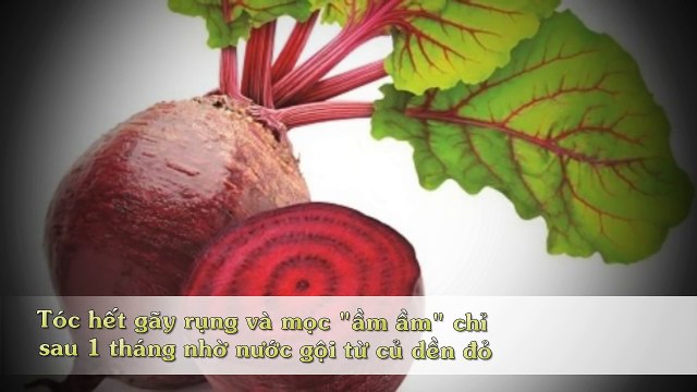 Tóc hết gãy rụng và mọc -ầm ầm- chỉ sau 1 tháng nhờ nước gội từ củ dền đỏ