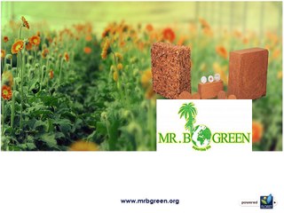 Coir Fiber Manufacturers in India