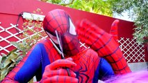 Spiderman & Deadpool dançando em uma festa vs Elsa zangado w Hulk super heróis cômicos na vida real