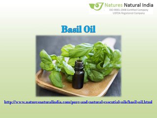 Collect fine collection of Natural Essential Oils at best price.