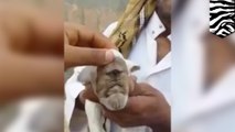 Cyclops goat: video of villagers inspecting mutated one-eyed baby goat goes viral