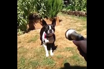 원라인 작업대출 010↔2163↔4189 자동차할부대출, 고액대출, 보증인대출, 연체자대출, 차량작업대출, 무직자대출