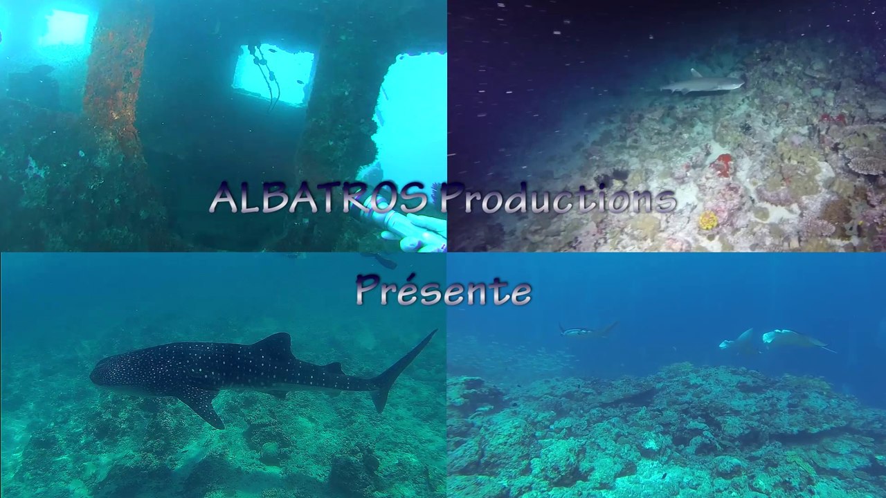 Croisière Maldives - 2016 - Jour 11-15