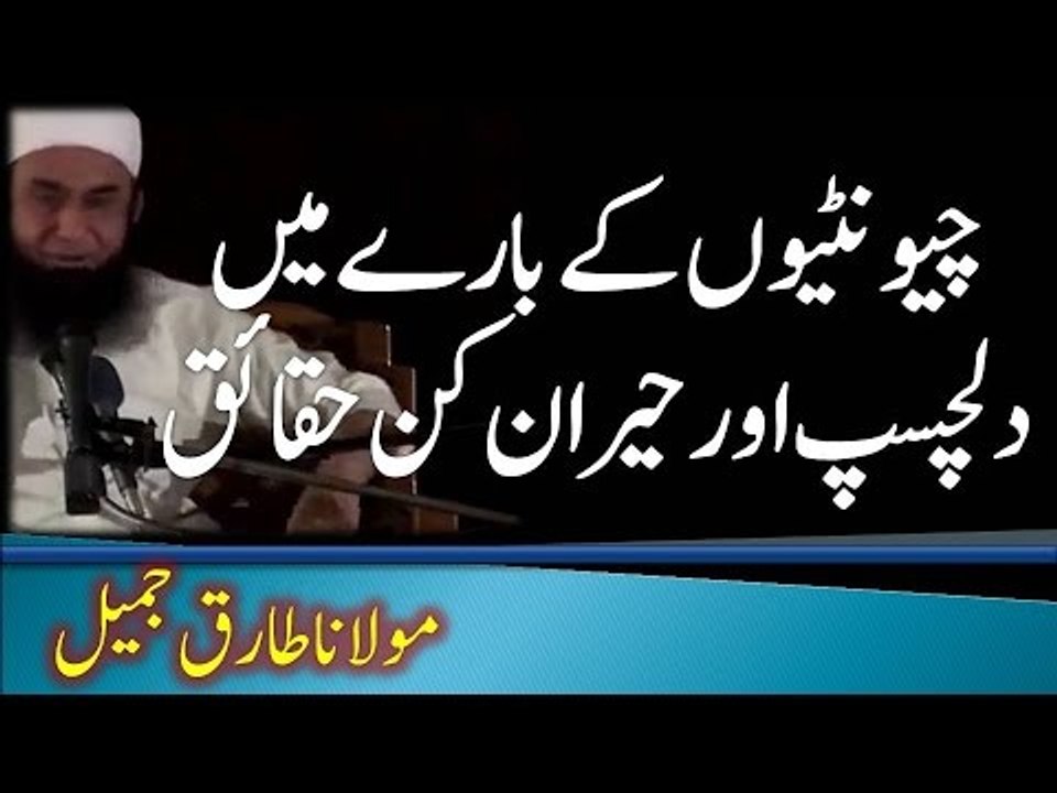 Aik khoobsurat aur behtreen misal by Maulana Tariq Jameel