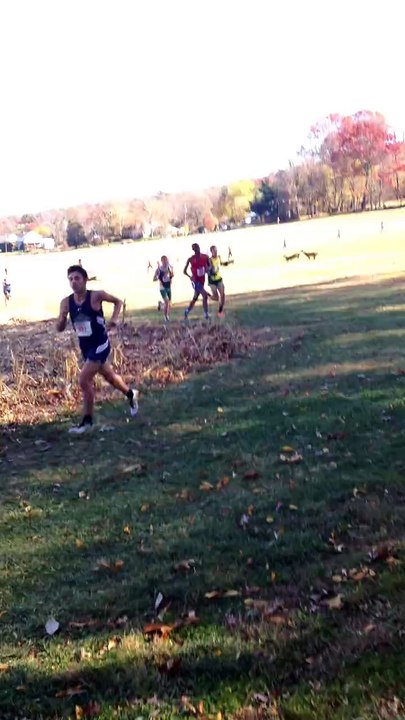 Chevreuil vs Coureur de cross-country