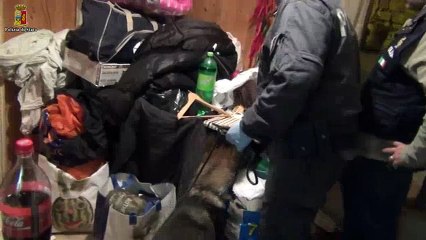 Cattura pregiuducato albanese PRENCE ODISE