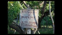 GREEK FUNNY SIGNS 2