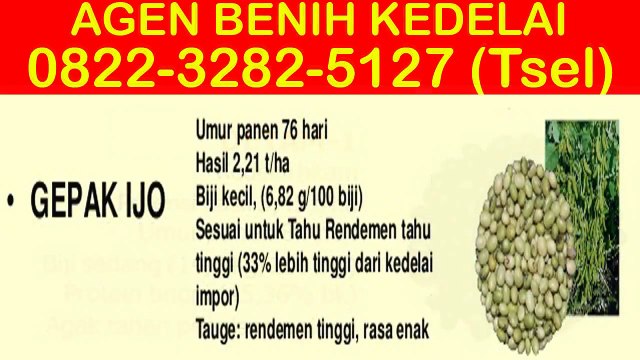 0822-3282-5127 (Tsel), Harga Benih Kacang Kedelai