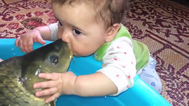 Funny babies are the hardest try not to laugh challenge Super funny baby compilation part 6