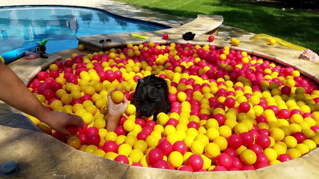 MONSTER IN THE POOL PRANK BALL PIT BALLS Pikachu & TMNT Kids Scare Cam