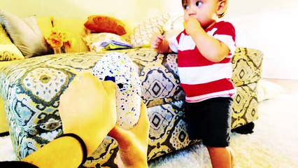 SPIDER HATCHIMALS BABY EGG HATCHING!