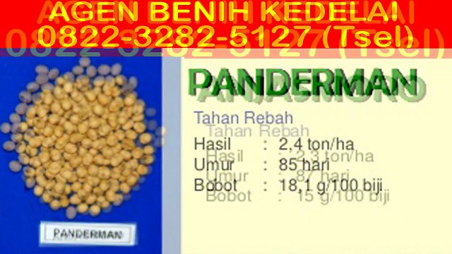 0822-3282-5127 (Tsel), Benih Kedelai Unggulan