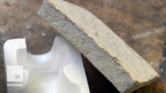 Factory uses fungus to grow clothes and shape furniture