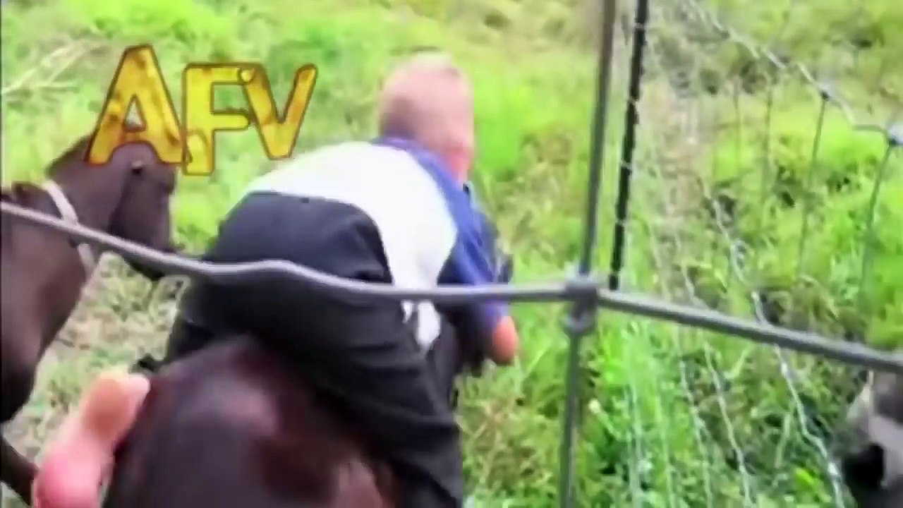 Funny videos 2016 accident