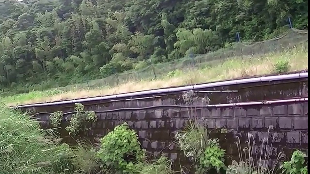 田舎の小さな水路