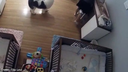 Un enfant de 9 ans rattrape son frère de justesse d'une chute