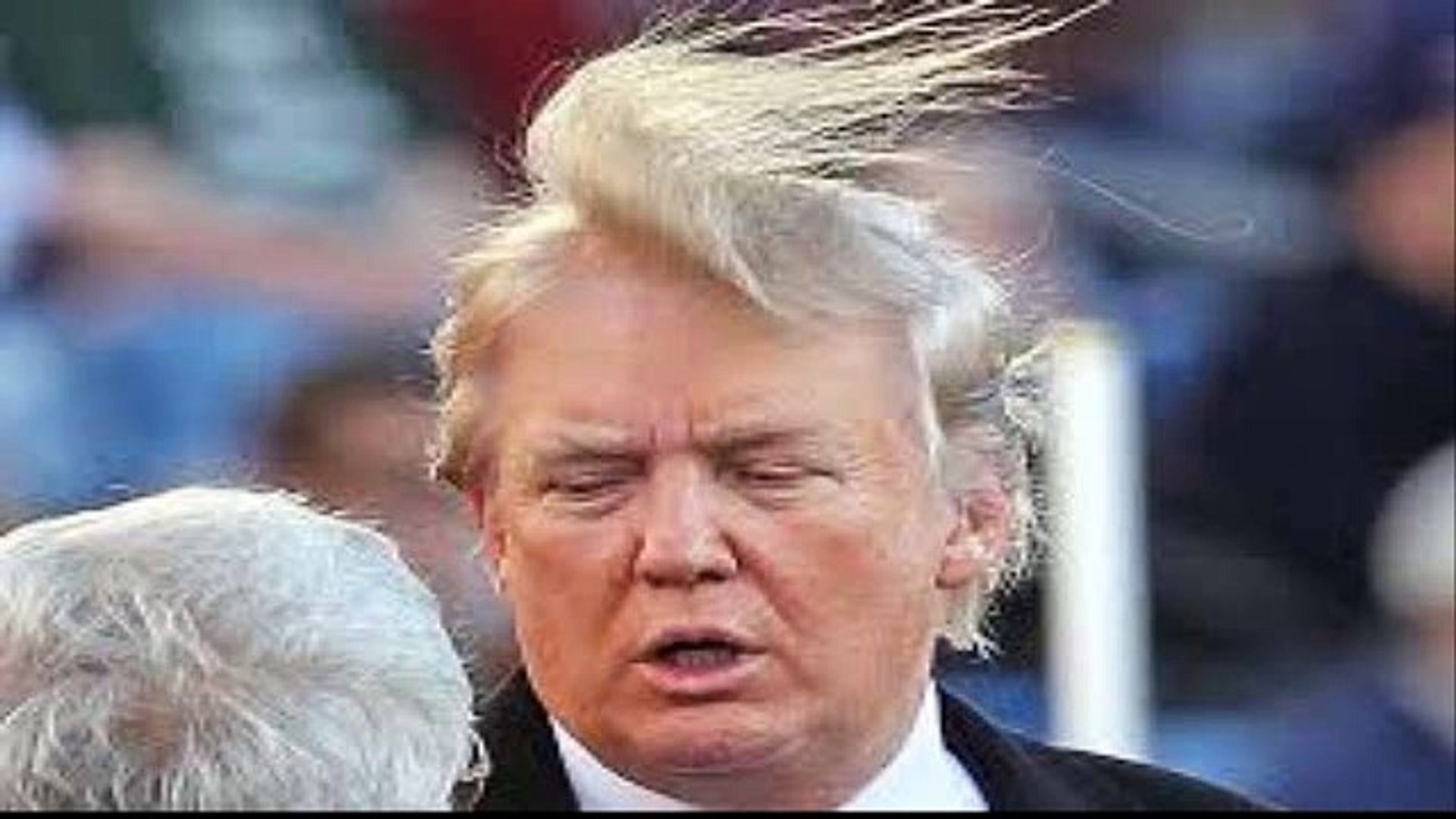 ⁣Donal Trump - Hair Trump