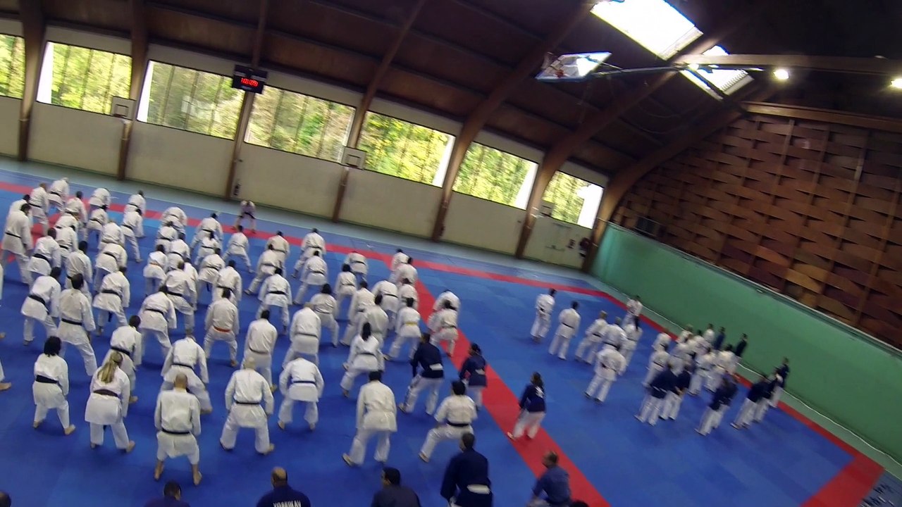 Stage national des Experts Japonais 2016