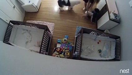 Ce bébé est rattrape de justesse, par son frère de 9 ans !