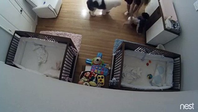 Ce bébé est rattrape de justesse, par son frère de 9 ans !