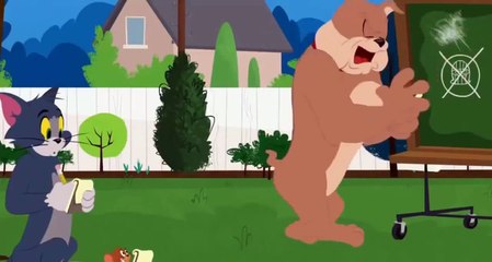 Tom and Jerry - Cartoon Movie Games for Kids - Tom and Jerry