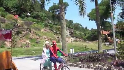 Spiderman drunk & Frozen Elsa w/ Black Spiderman Pink Spidergirl, Joker, Venom Princess anna & Baby