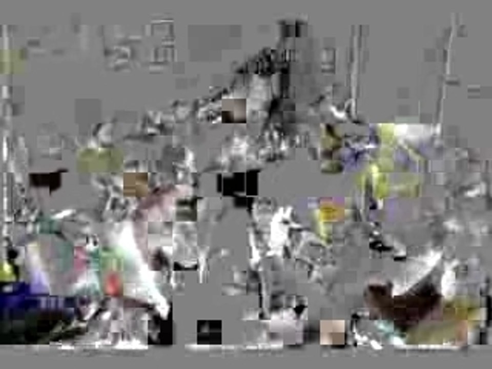 130 Chats Dans Un Appartement