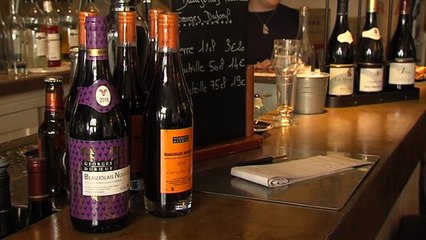 début des dégustations