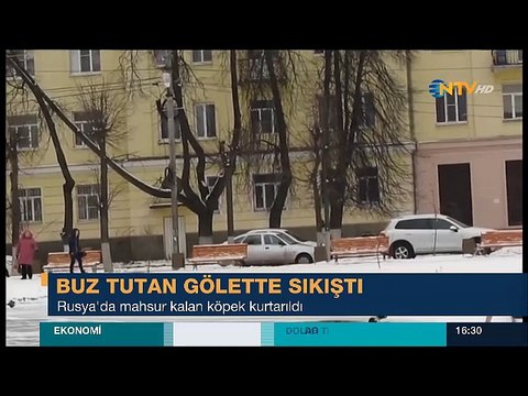 Buz tutan gölete sıkışan köpeği kurtaran adamın zor anları