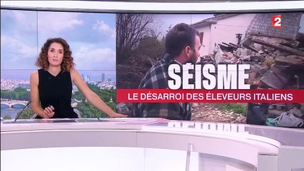 Séisme en Italie : le désarroi des éleveurs dans les zones sinistrées