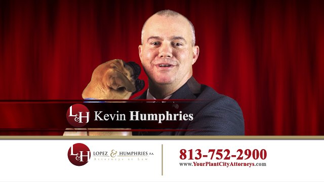 Dog Bites & Animal Attacks Lawyer Plant City FL | YourPlantCityAttorneys.com