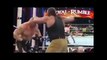 Brock Lesnar DESTROYS Braun Strowman Royal Rumble 2016