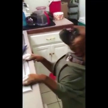 Le Mannequin Challenge de ce chien est juste tordant... Le meilleur des Mannequin challenge